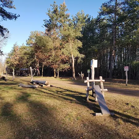 Naturferienhof Maerkisch Luch - Trapphahn