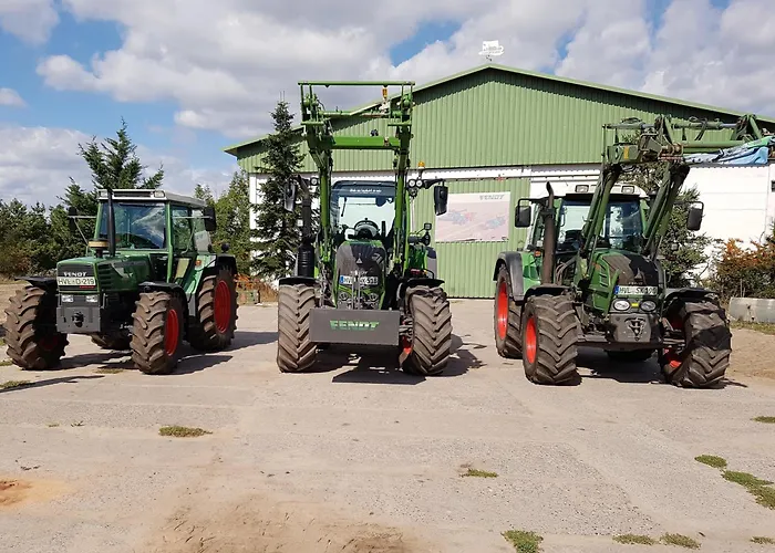 Naturferienhof Maerkisch Luch - Trapphahn
