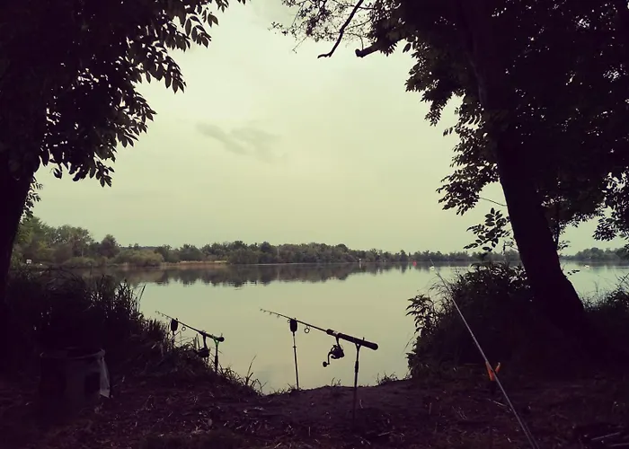 Naturferienhof Maerkisch Luch - Trapphahn