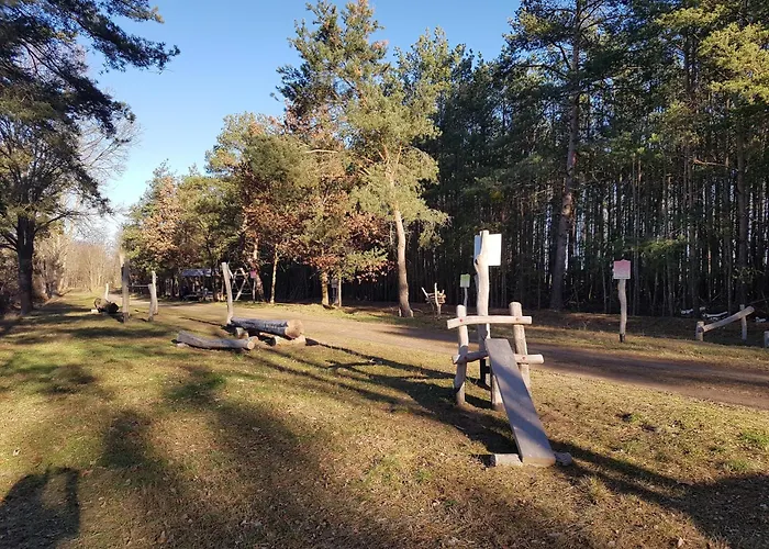 Naturferienhof Maerkisch Luch - Trapphahn